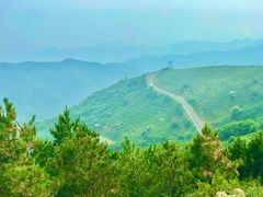 -阳台山自然风景区