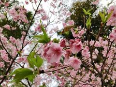 -大埔公路-马料水段香港中文大学(公交站)