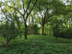-徐家汇源景区-衡山公园