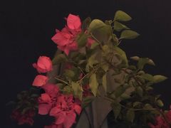 -萨芭蒂高空花园餐酒吧