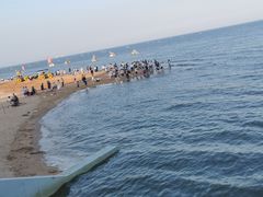 -日照海滨国家森林公园