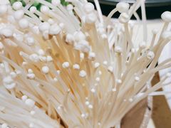 -蜀家渝重庆火锅(南屏街店)