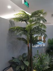 -八佰伴8008星级形象店