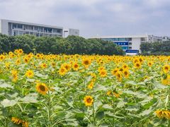 -南京信息职业技术学院