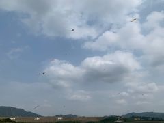 -光明小镇欢乐田园