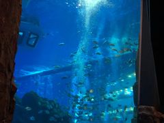 -成都浩海立方海洋公园