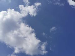-新航道雅思托福·留学·考研培训(人民广场校区)