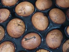 -华联商厦(火车站店)