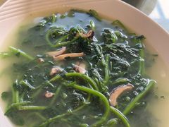 上汤西洋菜-小北江河鲜(新城店)