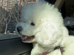 -FAELING PETS美天灵宠物(合生汇店)