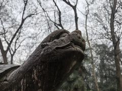 -灵谷景区