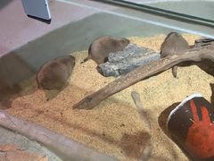 -正佳雨林生态植物园
