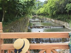 -广州白江湖森林公园