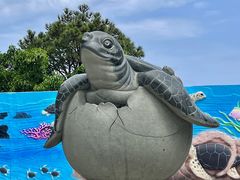 -广东惠东海龟国家级自然保护区