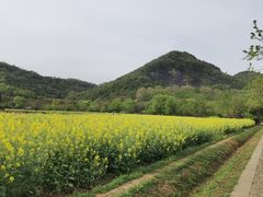-八卦田遗址公园