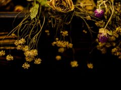 -ROSEONLY诺誓(国际广场购物中心店)