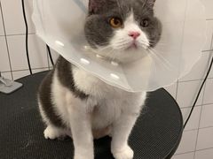 -拜鲁耶动物诊疗中心·宠家动物医院