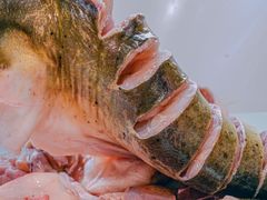 -老刘生态大鱼坊铁锅炖鱼(赛马场店)