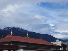 -林芝工布庄园希尔顿酒店-猎味中餐厅