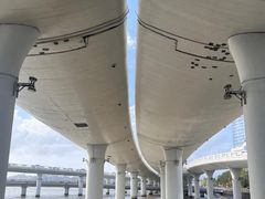 -演武大桥观景平台