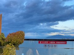-野菌皇海景野生菌火锅(滨海大道店)