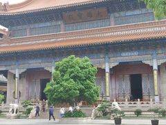 -高旻寺