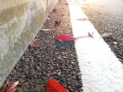-西南政法大学(渝北校区)