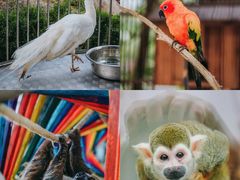 -乐和乐都主题乐园