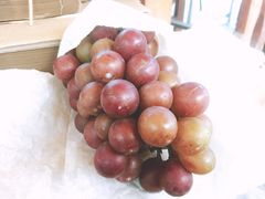 -美家乐农庄·露营·团建(大治路店)