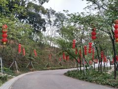 -广州市帽峰山景区