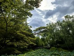 -桐乡植物园
