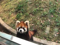 -无锡动物园·太湖欢乐园