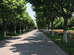 -上海鲜花港