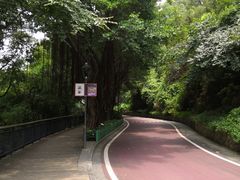 -金鸡山公园