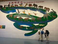 -青藏高原自然博物馆
