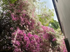 -深圳国际园林花卉博览园