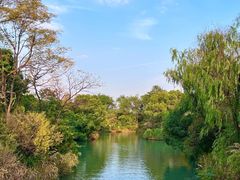 -西溪国家湿地公园