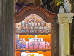 -雪灵魔法世界SHELLY’S TAROT(大良桂畔里店)
