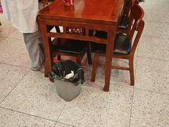 -蔡林记(奥山世纪城店)