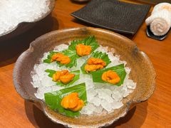 -月龍吟(朝龙汇店)