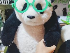 -轩客会(熊猫书店)