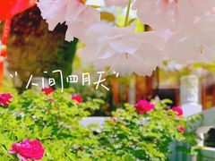 -兴教寺