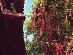 -七曲山风景区