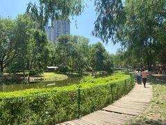 -长白岛森林公园