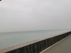 -北海金海湾红树林生态旅游区