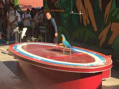 -大连森林动物园