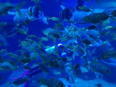 -太平洋海底世界