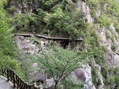 -洛阳白云山景区