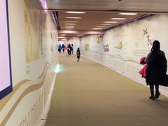 -中免(澳门机场免税店)