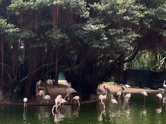 -九龙公园